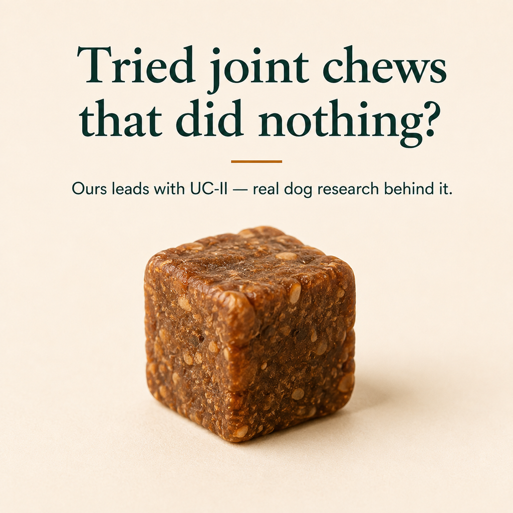 Tyche Chews